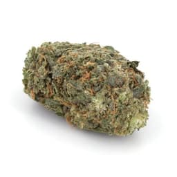 Ganesh Berry cannabis strain