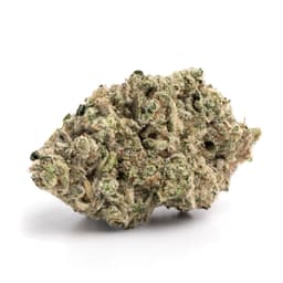 Garlic Cookies cannabis strain