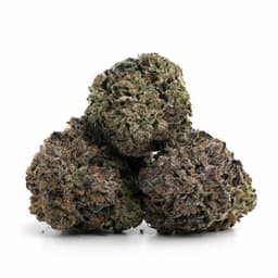 Garlic Grapes cannabis strain