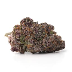 Gas Munkey cannabis strain