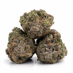 Gas Stank cannabis strain