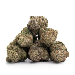 Gasmask cannabis strain