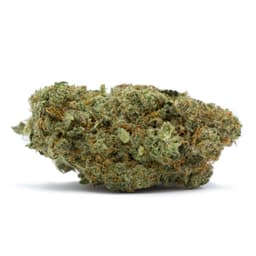Gatekeeper OG cannabis strain
