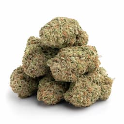 Georgia Pine cannabis strain