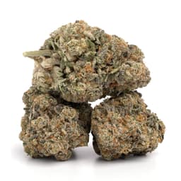 Ghost Berry cannabis strain