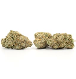 Ghost Bubba cannabis strain