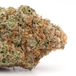 Godberry cannabis strain