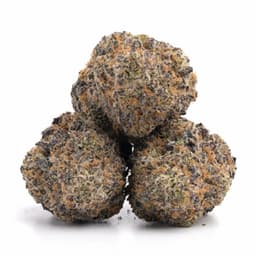 Goldberry cannabis strain