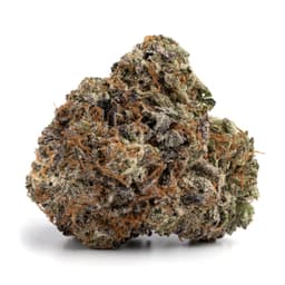 Gorilla Grape cannabis strain