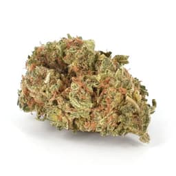 Granny Smith Apple cannabis strain