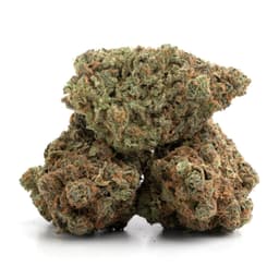 Grape 98 cannabis strain