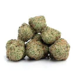 Grape Animals cannabis strain