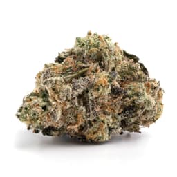 Grape Bubba cannabis strain