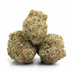 Grape Canyonz cannabis strain