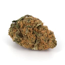 Grape Cookies cannabis strain