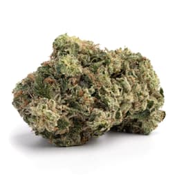 Grape Cream Cake cannabis strain