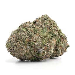 Grape Crush cannabis strain