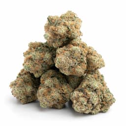 Grape Durban cannabis strain