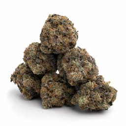 Grape Inferno cannabis strain