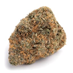 Grape Kush cannabis strain
