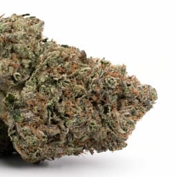 Grape Marmalade cannabis strain