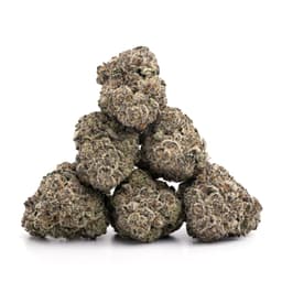 Grape Monster cannabis strain