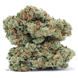 Grape Nuts cannabis strain