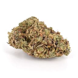 Grape Pearls cannabis strain