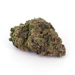 Pineapple Dog Shit cannabis strain