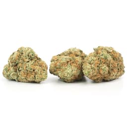 Grape Runtz cannabis strain