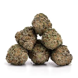 Grape Sherbet cannabis strain