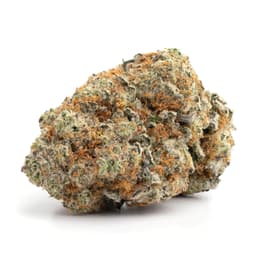 Grape Skunk cannabis strain