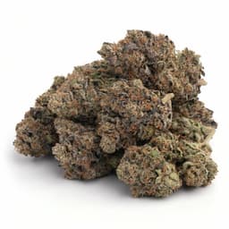 Grape Z cannabis strain