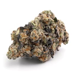 Grapefruit Bx1 cannabis strain