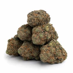 Grapefruit Durban cannabis strain