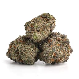 Grapefruit Haze cannabis strain