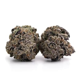 Grapefruit Romulan cannabis strain