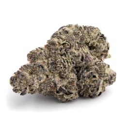 Grateful Ghost OG cannabis strain