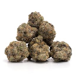 Green Crack Extreme cannabis strain