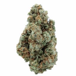 Green Haze cannabis strain
