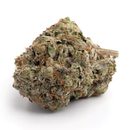 Green Joy OG cannabis strain
