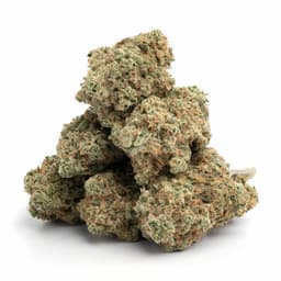 Green Kush cannabis strain