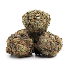 GriZ Kush cannabis strain