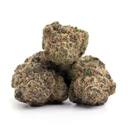 Grimace OG cannabis strain