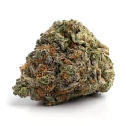 OBI Train cannabis strain
