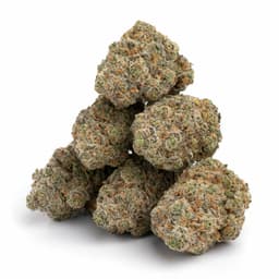 Half Dome Haze cannabis strain