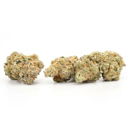 Hardcore OG cannabis strain