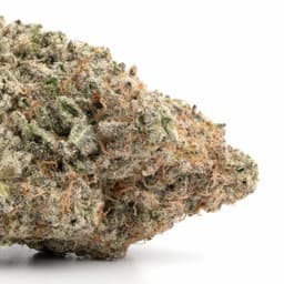 Hawaiian Punch cannabis strain