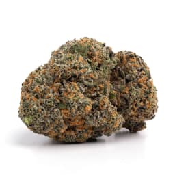 Hawaiian Thunder Fuck cannabis strain