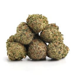Haze Berry cannabis strain